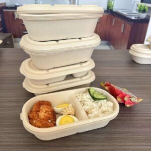Biodegradable Composting Disposable Wheat Straw Pulp Lunch Box Eco-Friendly Plates